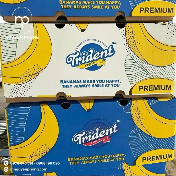 Mẫu thùng carton đựng chuối thiết kế nổi bật